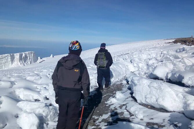 Private Day Tour and Hike in Kilimanjaro National Park - Who Is This Tour Best For?