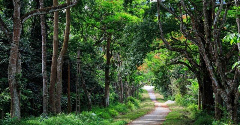 Private Day Tour: Cuc Phuong National Park from Hanoi - Who Should Consider This Tour?