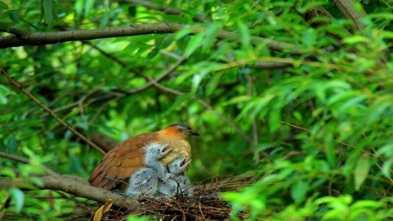 Private Day Tour: Cuc Phuong National Park from Hanoi - Final Thoughts