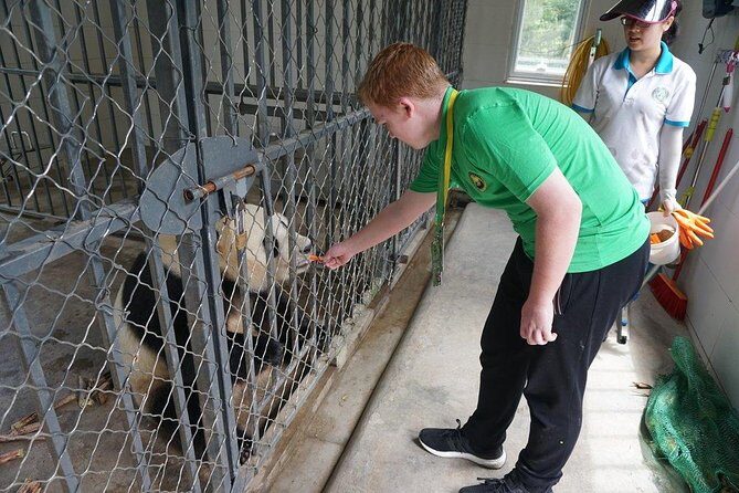 Private Day Tour: Dujiangyan Panda Base Volunteering from Chengdu - An In-depth Look at the Tour