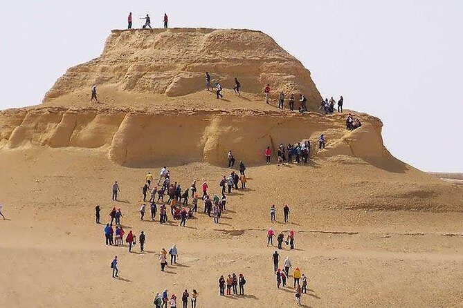 Private day tour El Fayoum ,and Valley of Whales with safari - The Itinerary: What to Expect
