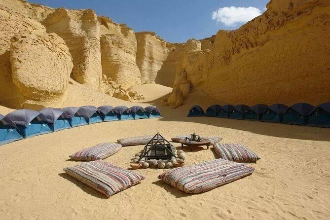 Private day tour El Fayoum ,and Valley of Whales with safari - The Guide and Reviews: Authentic Voices