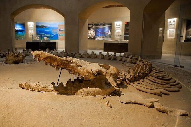 Private day tour El Fayoum ,and Valley of Whales with safari - Who Will Love This Tour?