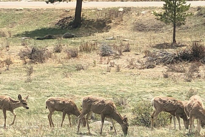Private Day Tour From Denver to Estes Park and Rocky Mountain National Park - Final Thoughts