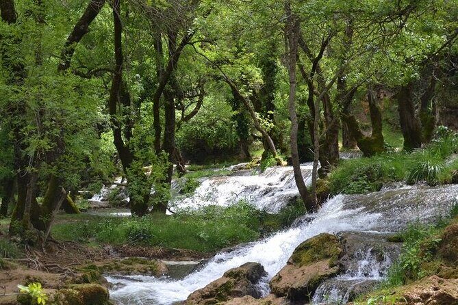 Private Day Tour from Fez to the Middle Atlas - The Itinerary in Detail: What You Can Expect