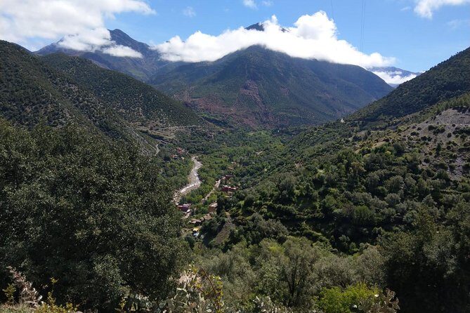 Private Day Tour from Marrakech To Ourika Valley and Atlas Mountain - An In-Depth Look at the Ourika Valley Private Tour