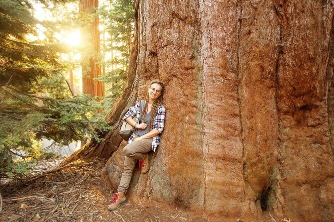 Private Day Tour from San Jose in Yosemite Natural Park - The Bottom Line