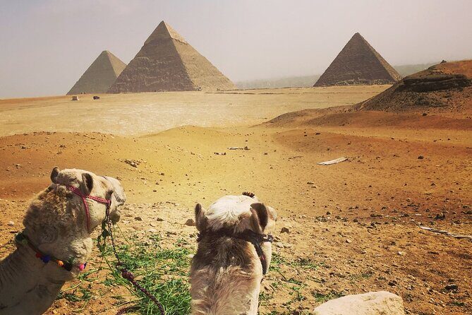 Private day tour Giza pyramids,camel ride,sphinx,Sakkara, Memphes - A Deep Dive into the Journey