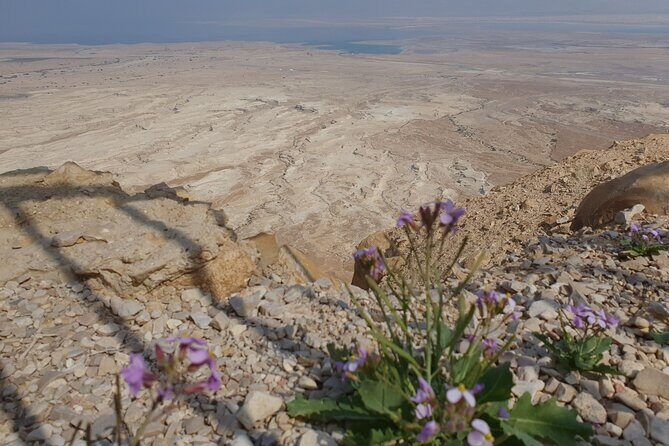 Private Day Tour in Masada and the Dead Sea - Who Is This Tour Best For?