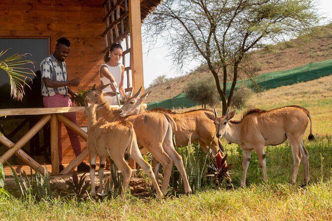 Private Day Tour in Serval Wildlife and Kikuletwa Hot Spring - Introduction