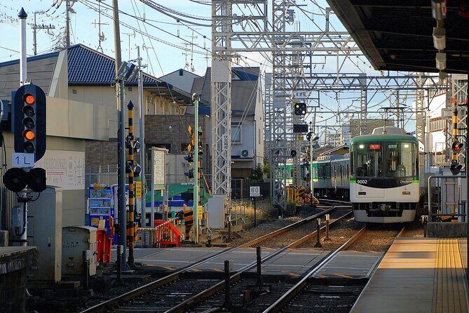 Private Day Tour In Tokyo with a Native English Speaker - Key Points