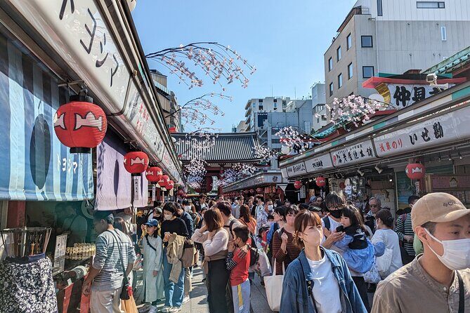 Private Day Tour In Tokyo with a Native English Speaker - Why This Tour Fits Certain Travelers Best