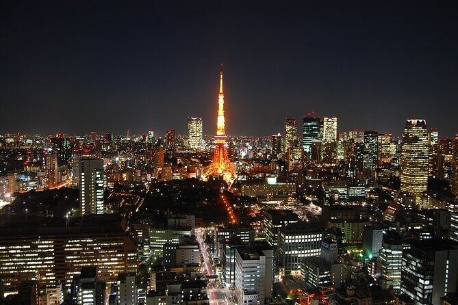 Private Day Tour in Tokyo with Government-Licensed Guide - Authentic Experiences and Review Highlights