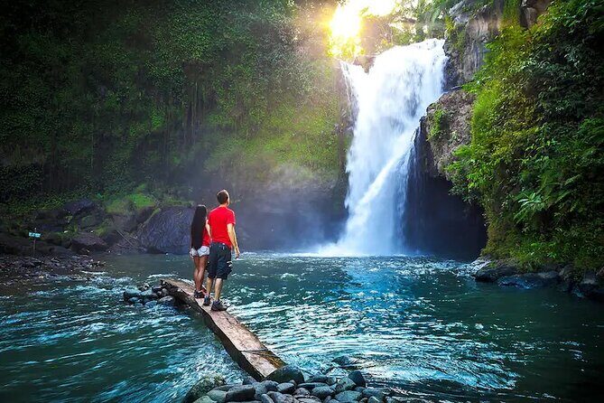 Private Day Tour in Ubud and Tanah Lot Temple - What to Expect from the Tour