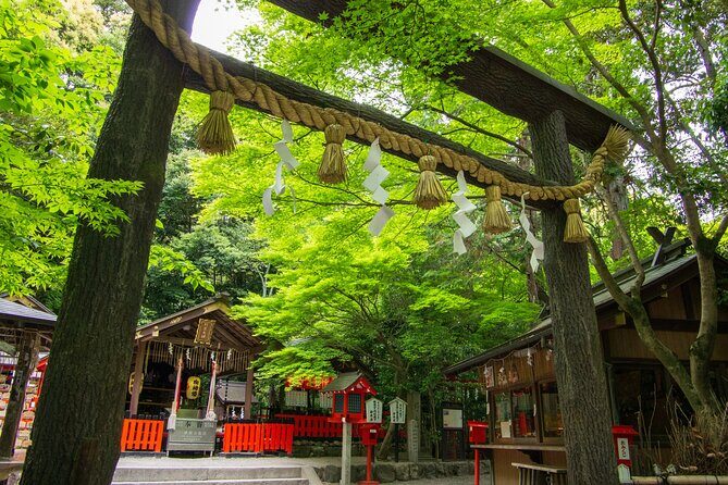 Private Day Tour - Kyoto Arashiyama & Bamboo Forest Perfect Tour! - The Sum Up