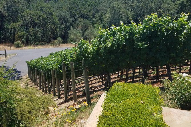 Private Day Tour: Napa Valley Wine Tasting from San Francisco - 6hrs - Key Points