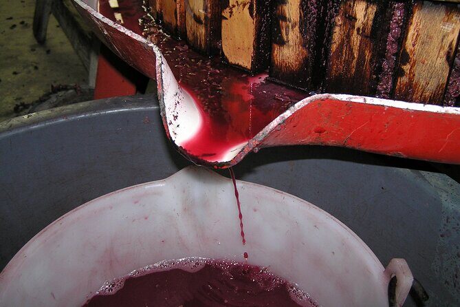 Private Day Tour: Napa Valley Wine Tasting from San Francisco - 6hrs - FAQ