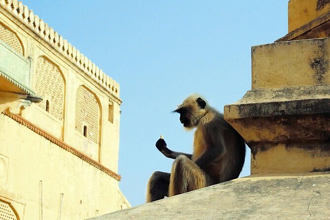 Private Day Tour of Jaipur with a Guide and Including Lunch - Frequently Asked Questions