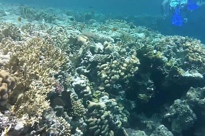 Private Day Tour of Ras Mohammed National Park with Snorkeling - Discovering Ras Mohamed: A Natural Jewel
