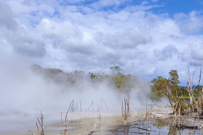 Private Day Tour - Rotorua, Kiwi Hatchery & Mori Culture - Who Will Love This Tour?