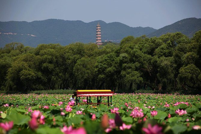Private Day Tour: Summer Palace and Old Summer Palace in Beijing - Who Will Love This Tour?