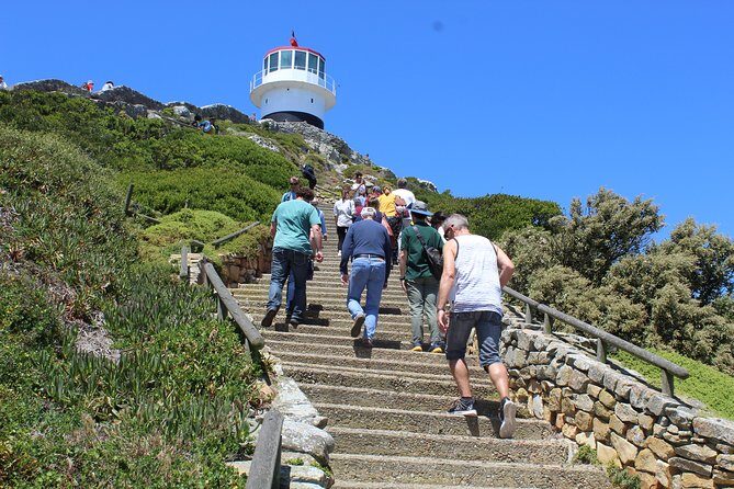 Private Day Tour to Cape of Good Hope Penguins Inc Entry Tickets from Cape Town - The Itinerary: A Walkthrough of What You’ll See and Do