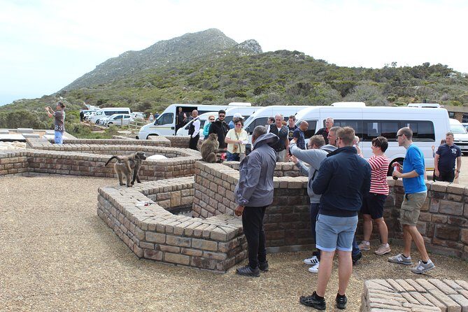 Private Day Tour to Cape of Good Hope Penguins Inc Entry Tickets from Cape Town - Final Thoughts