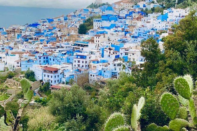 Private Day tour to Chefchaouen from Tangier - The Sum Up: Why Choose This Tour?