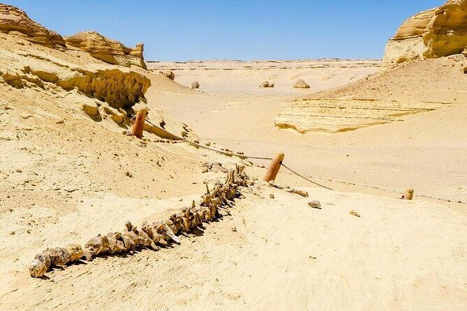 Private Day Tour To El Fayoum From Cairo - A Close Look at the Itinerary