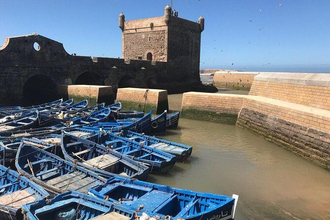 Private Day Tour To Essaouira - Comprehensive Review of the Essaouira Private Day Trip
