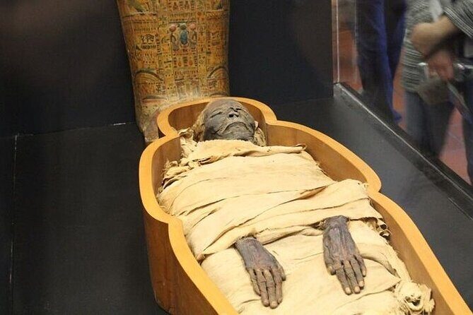 Private Day Tour to Giza Pyramids And Civilization Museum& Bazaar - An Introduction to the Tour Experience