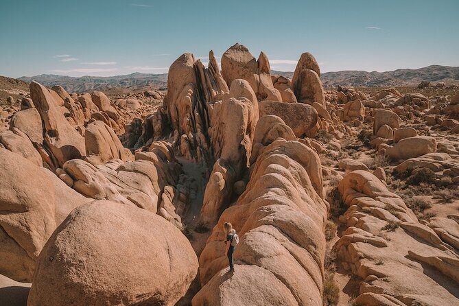 Private Day Tour to Joshua Tree National Park from San Diego - The Value of This Experience