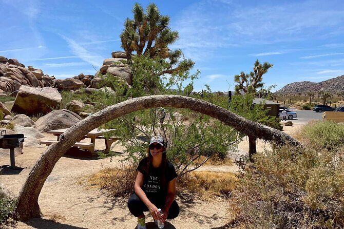 Private Day Tour to Joshua Tree National Park from San Diego - Who Will Love This Tour?