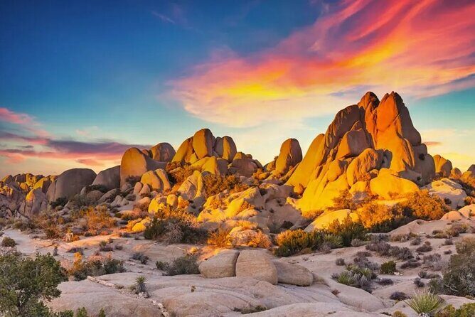 Private Day Tour to Joshua Tree National Park from San Diego - The Sum Up