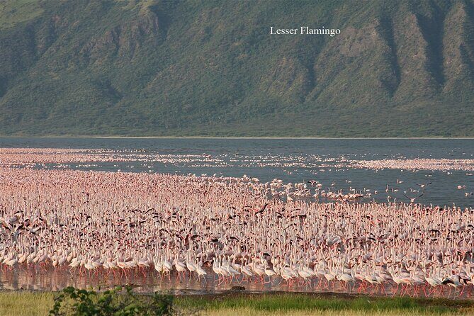 Private Day Tour to Lake Baringo from Nairobi - Practical Details