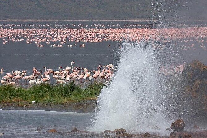 Private Day Tour to Lake Baringo from Nairobi - Frequently Asked Questions