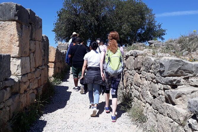 Private Day Tour to Meknes, Volubilis and Moulay Idriss from Fez - What the Reviews Tell Us