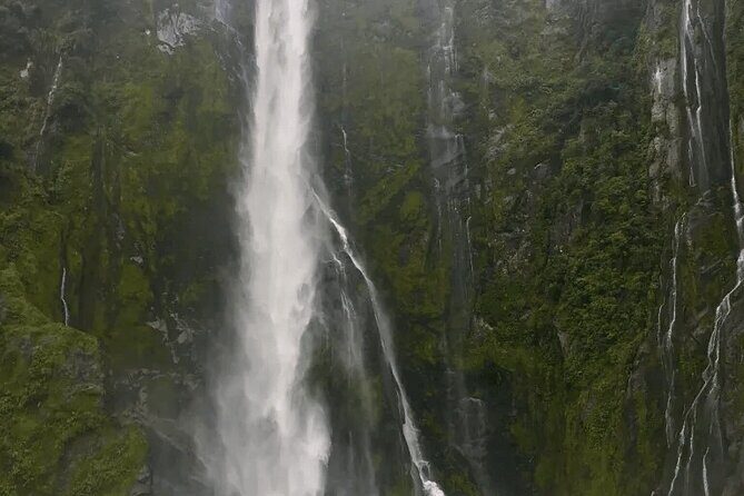 Private Day tour to Milford Sound from Queenstown - Who Is This Tour Best For?
