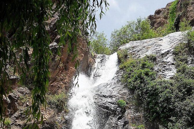 Private Day Tour to Ourika Valley including Guided Hike and Lunch from Marrakech - Visiting the Argan Oil Cooperative: A Cultural Insight
