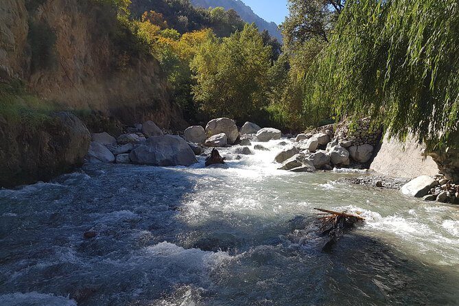 Private Day Tour to Ourika Valley including Guided Hike and Lunch from Marrakech - Lunch in a Berber Home: An Authentic Taste of Morocco
