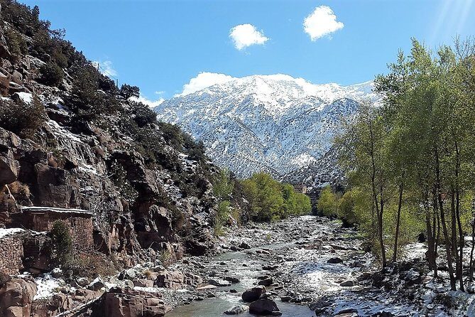 Private Day Tour to Ourika Valley including Guided Hike and Lunch from Marrakech - Who Will Enjoy This Tour Most?