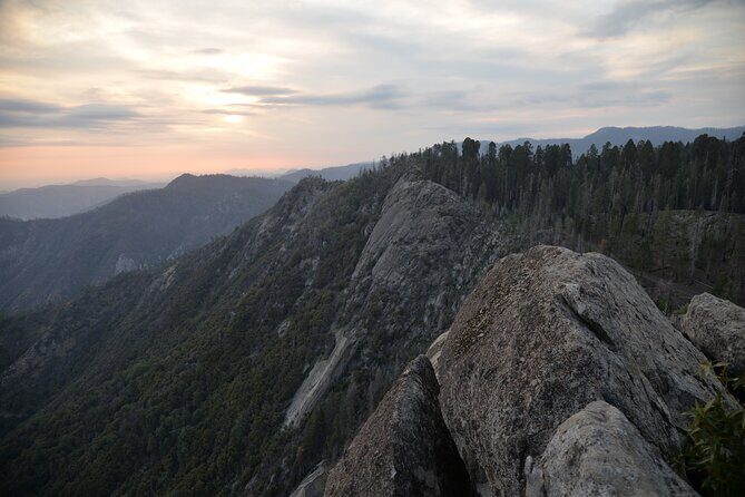 Private Day Tour to Sequoia and Kings Canyon Parks From LA - Why Choose This Tour?