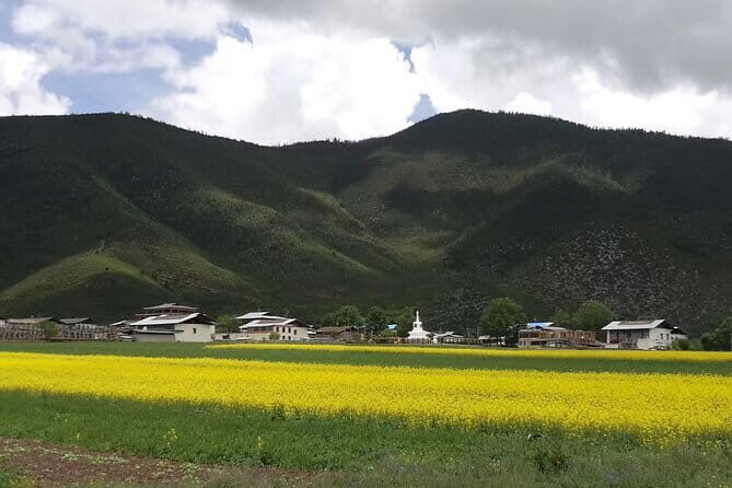 Private Day Tour to Shangri-la from Lijiang by Car - An In-Depth Look at the Tour Experience