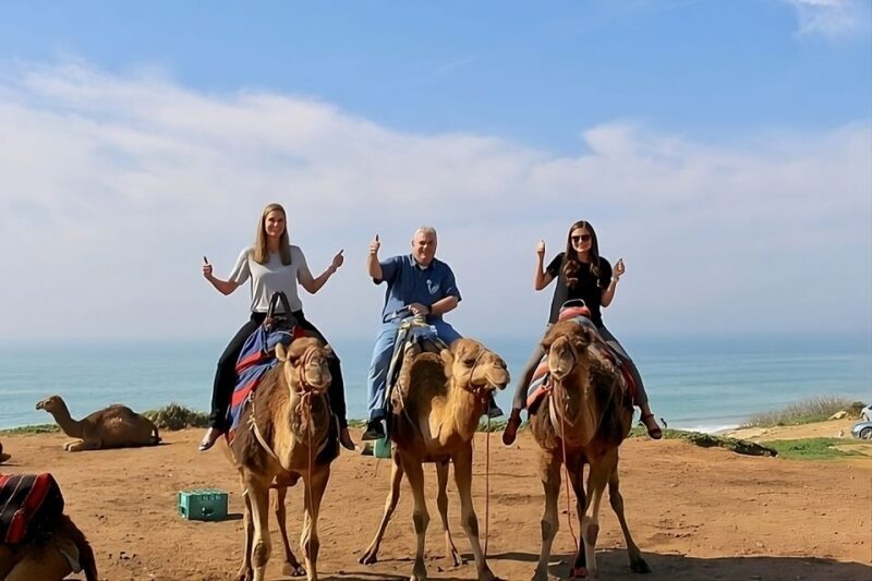 Private Day Tour to Tangier from Tarifa or Algeciras - What to Expect on the Day