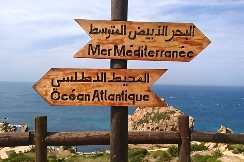 Private Day Tour to Tangier from Tarifa or Algeciras - Who Is This Tour Best For?