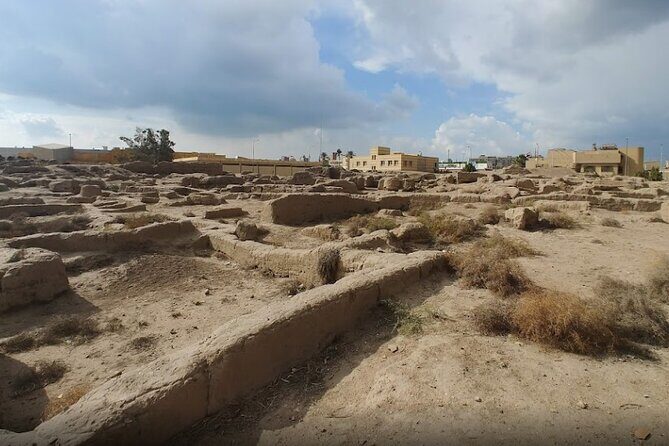 Private Day Tour to Tanis Bubastis Cairo - How the Experience Breaks Down