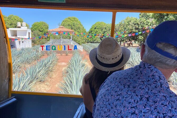 Private Day Tour to Tequila Cantaritos Factories and Castle - Final Thoughts: Who Should Consider This Tour?