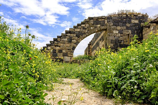 Private Day Tour to Umm Qais from Amman with Optional Hiking Trail - Who Should Consider This Tour?