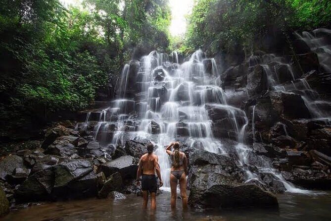 Private Day Tour To Waterfalls And Ubud Sightseeing - Key Points