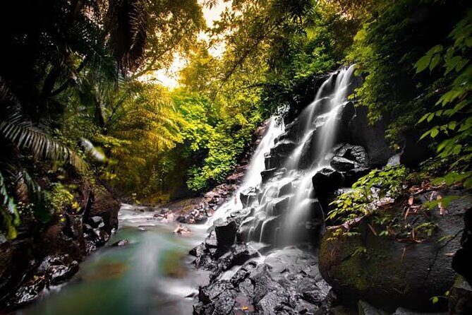 Private Day Tour To Waterfalls And Ubud Sightseeing - Testimonials and Real Experiences